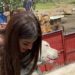 El noble gesto de Karely Ruiz con un refugio de perritos que enterneció a sus seguidores