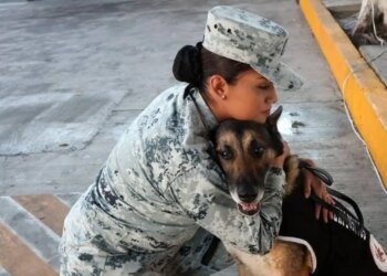 Jubilo por 34 canes de la GN