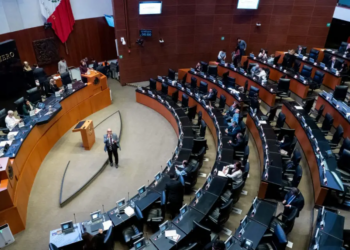 Senado elige nueva candidata para SCJN