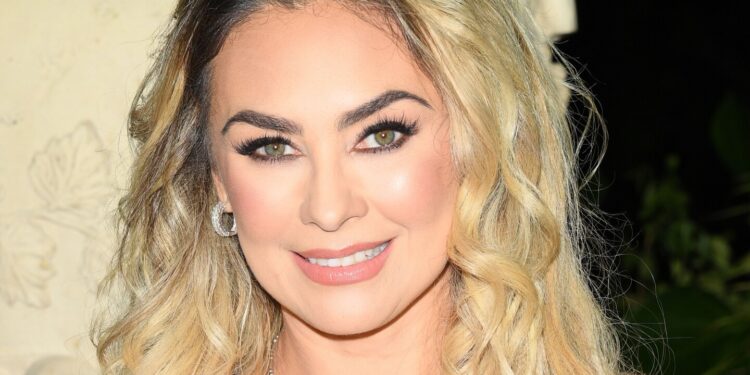 Aracely Arámbula se dejó ver por primera vez tras la muerte de su mamá: el video viral