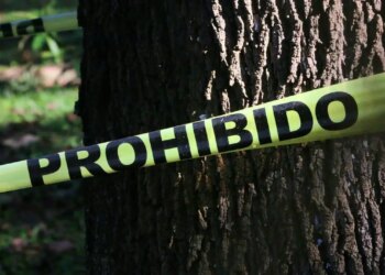 Asesinan a primo de líder del PRI