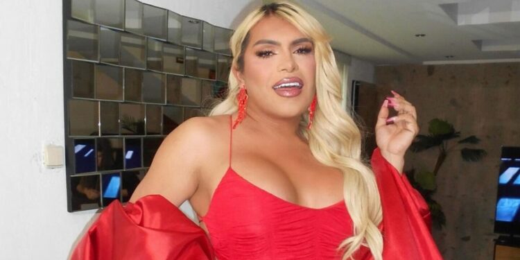 ¿Cómo terminó el asunto entre Wendy Guevara y Sergio Mayer? Esto dijo la influencer sobre el tema