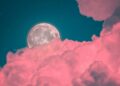 LUNA ROSA1.jpg