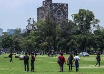 Pumadrive: la app femenina de transporte.