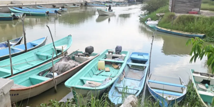 Sequía en lagunas de Tamaulipas