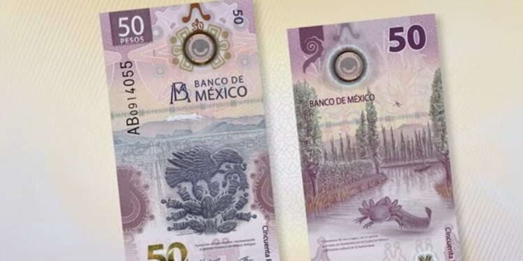 billete de 50 pesos ajolote