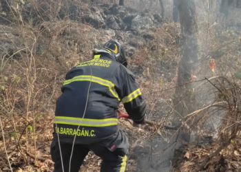 Fuego consume Bosque Tlalpan - Columna Digital