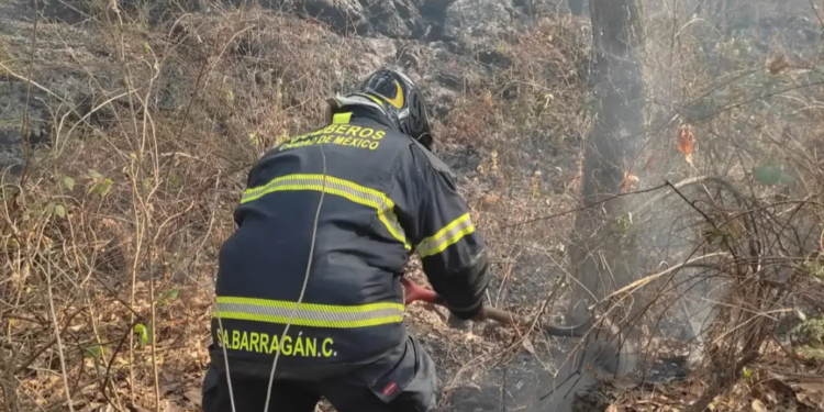 Fuego consume Bosque Tlalpan - Columna Digital
