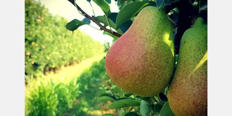 América Latina Debe Buscar Competitividad para Superar Desafíos de Desarrollo