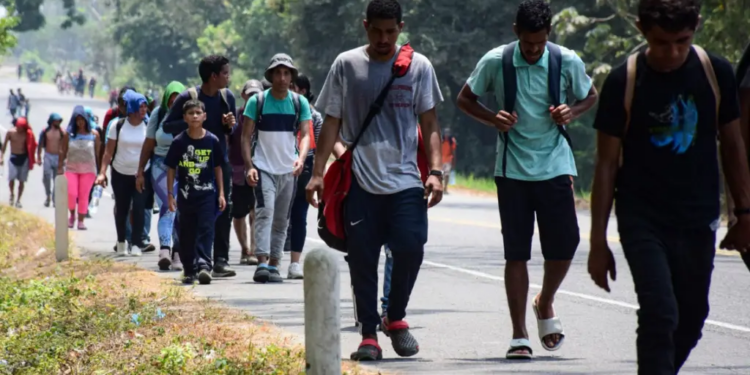 Claudia Sheinbaum fomentará movilidad de migrantes.