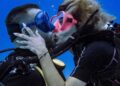 Clovis Nienow y Aleska Génesis se declaran amor debajo del mar: ¡VIDEO!