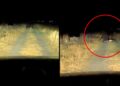 Este es el terrorífico VIDEO de una criatura que ‘apareció’ en México y se hizo VIRAL, ¿es real?