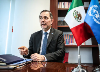 Inclusión de la IP en el desarrollo.