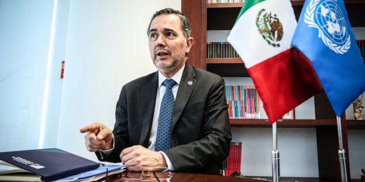 Inclusión de la IP en el desarrollo.