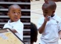 Un niño de 4 años se hizo VIRAL con este divertido VIDEO donde 'entrena' a un equipo de baloncesto