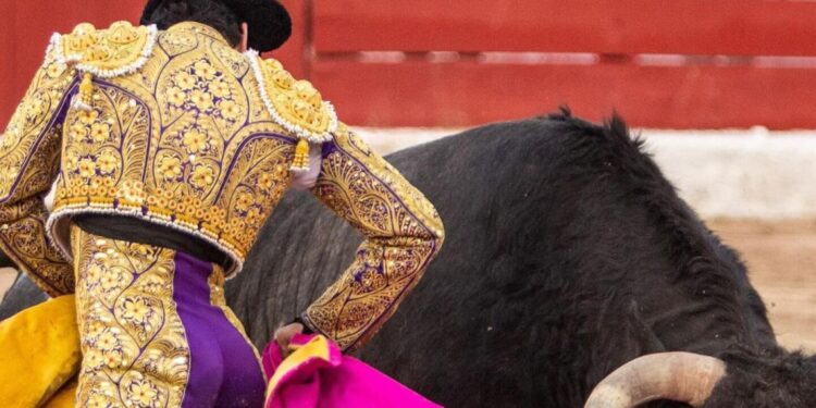 ¡Escalofriante VIDEO! Así fue como el torero Isaac Fonseca sufrió una terrible cornada por la espalda