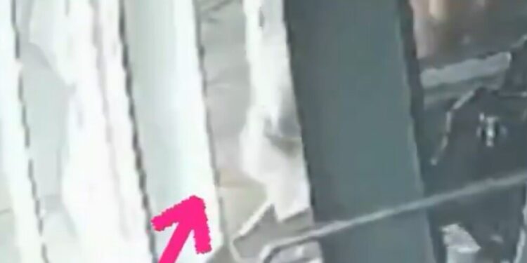 la ventana estaba abierta