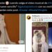 vestido de angela aguilar