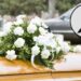 Murió una querida influencer que compartía en redes su dura lucha contra una terrible enfermedad