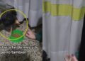 Un perro 'robó' el dinero de su dueña en fin de mes y el VIDEO de cómo ella intenta recuperarlo se volvió VIRAL
