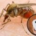 así es el truco casero con papel de baño para protegerse durante el sueño, del que todos hablan