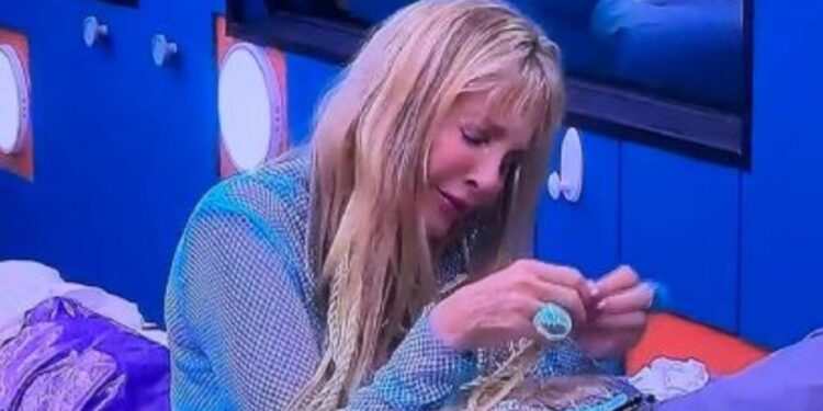 primeros nominados lcdlfm