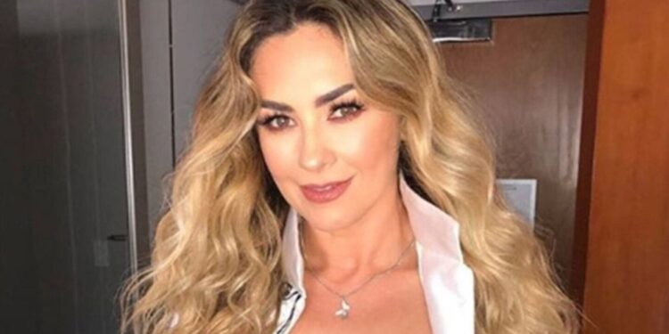 ¿Quieren otra hermana? La peculiar reacción de los hijos de Aracely Arámbula sobre la hija perdida de Luis Miguel