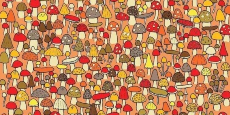 reto viral encuentra al ratón