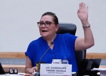 INE defiende aplicación de plurinominales.