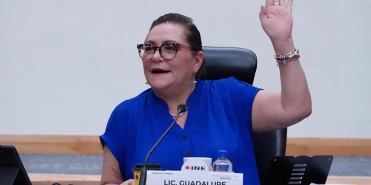 INE defiende aplicación de plurinominales.