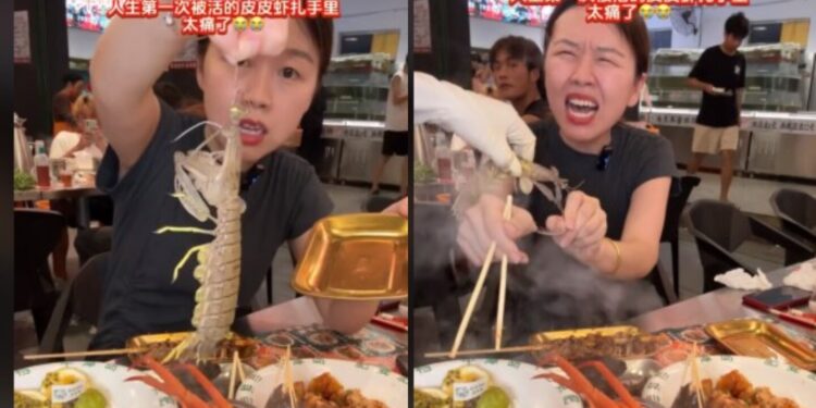 ¡VIRAL! El perturbador ataque de un camarón a una influencer que lo quería cocinar vivo