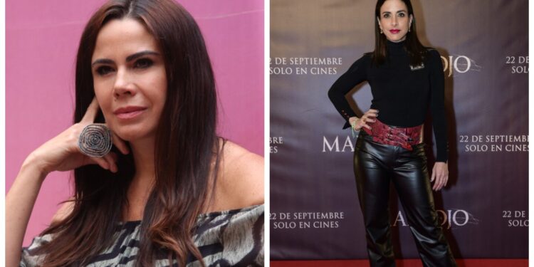 ¿qué pasará con el proyecto que comenzaron juntas?