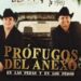 Por qué cancelaron otra vez los conciertos de Prófugos del Anexo en CDMX y qué pasará con los boletos
