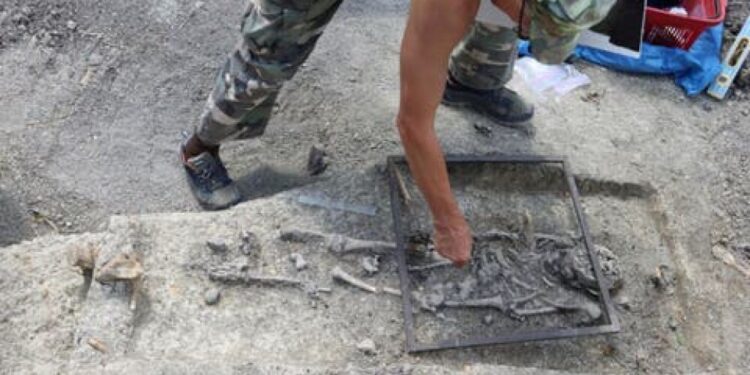 HALLAZGO DE UN NIÑO VAMPIRO EN POLONIA1.jpg