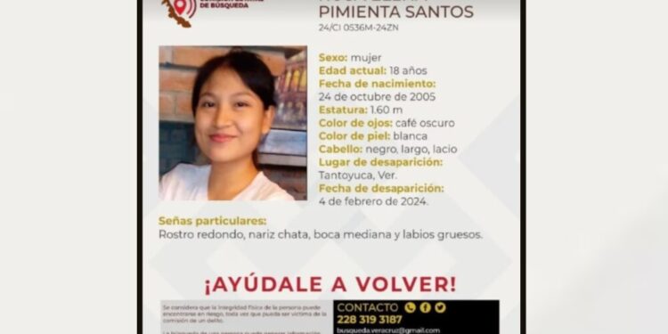 jaime toral youtuber novia desaparecida