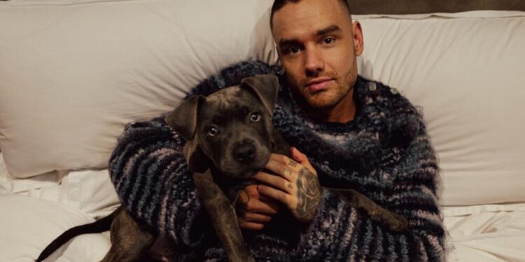liam payne murio