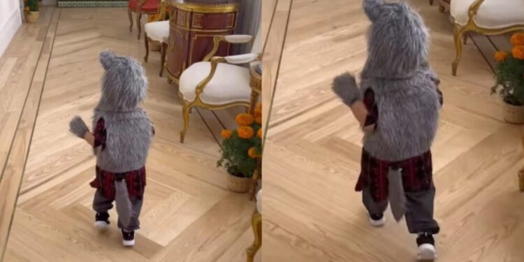 leon hijo cynthia rodriguez carlos rivera