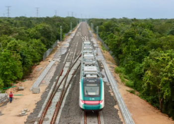 Reducción del 36% al presupuesto de Semarnat 2025