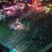 Alrededor de 93 mil personas asistieron al festival de música Flow Fest 2024