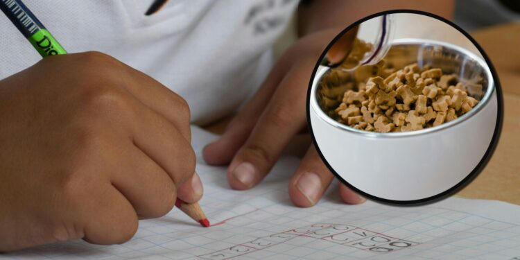 Una maestra les dio comida para perro a sus alumnos y los envenenó: los terribles detalles