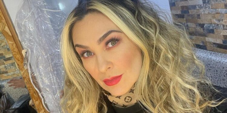 Aracely Arámbula hijo.jpg