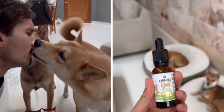 MEMO APONTE Y SU PERRITA1.jpg