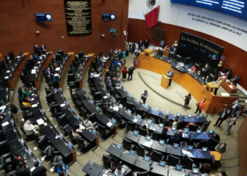 Senado aprueba lenguaje inclusivo en Constitución