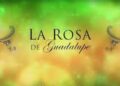 La Rosa de Guadalupe Las Estrellas Televisa Canal 2 logo