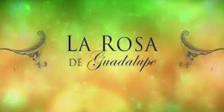 La Rosa de Guadalupe Las Estrellas Televisa Canal 2 logo