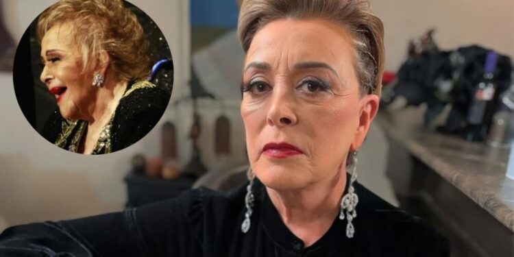 sylvia pasquel testamento silvia pinal
