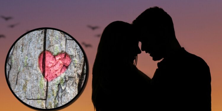 Estos dos famosos cantantes que fueron pareja, comenzaron el año más enamorados que nunca... ¡de otros!