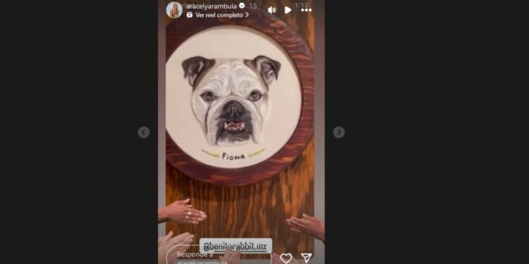 ARACELY ARÁMBULA SE EMOCIONÓ CON EL REGALO QUE EUGENIO DERBEZ RECIBIÓ1.jpg