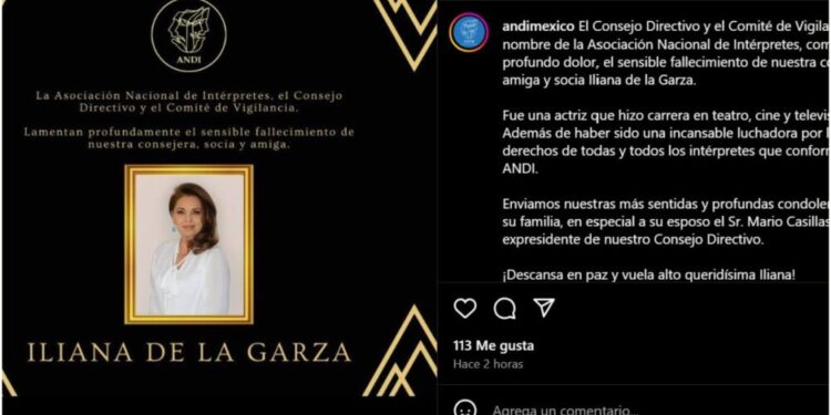 murió iliana de la garza andi