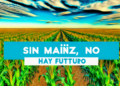 Sin maíz, no hay futuro: Sheinbaum